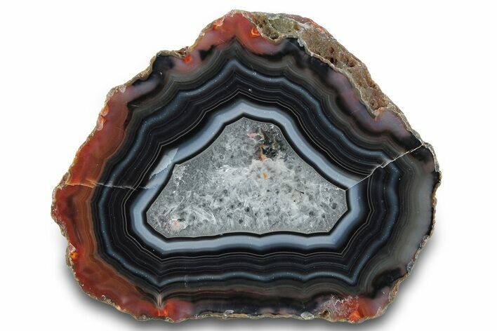 Colorful, Polished Condor Agate - Argentina #277703